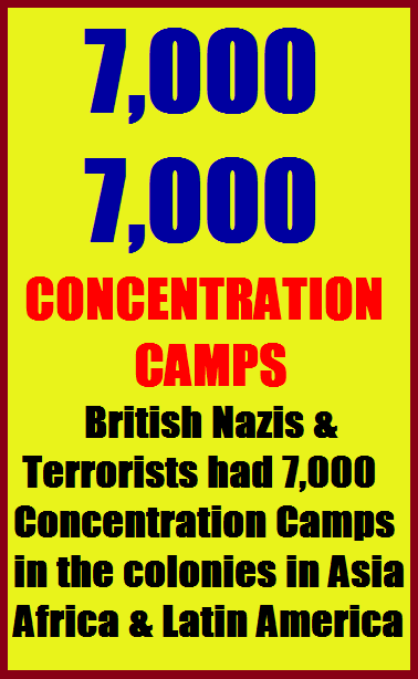 Widget_Brit 7000 C-Camp