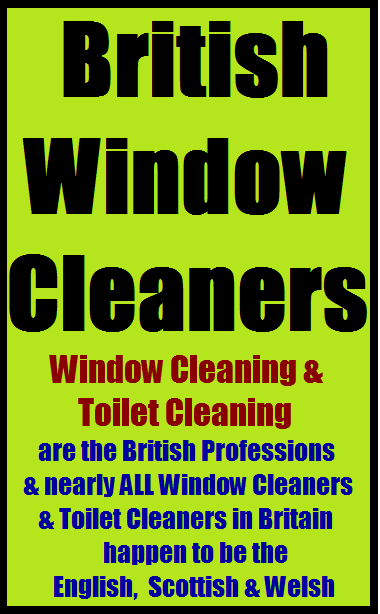 Widget_Brit Window & Toilet Cleaner